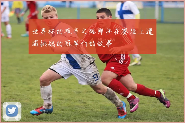 世界杯的艰辛之路那些在赛场上遭遇挑战的冠军们的故事